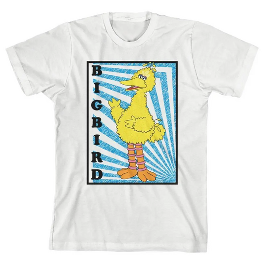 Boys Big Bird Sesame Street Shirt Youth Big Bird Apparel