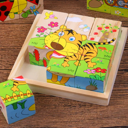 6 in 1 Puzzle Wooden Cubes for Children Multivariant