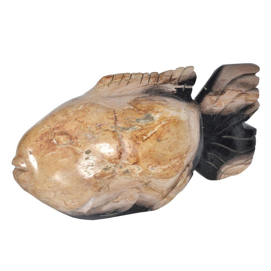 Petrified Wood Fish