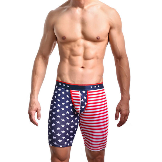 American flag print panties