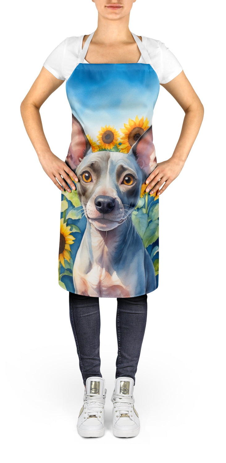 American Hairless Terrier in Sunflowers Apron