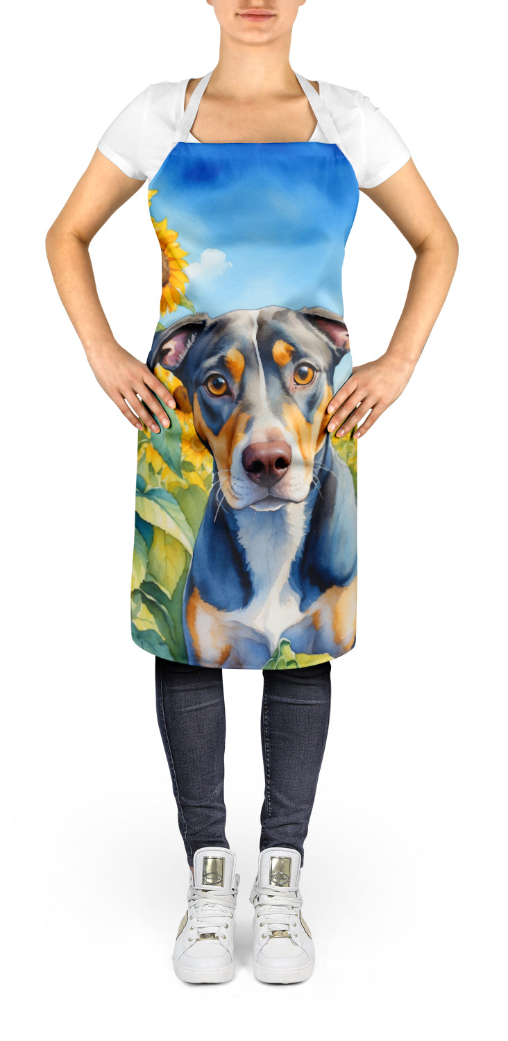 Catahoula in Sunflowers Apron