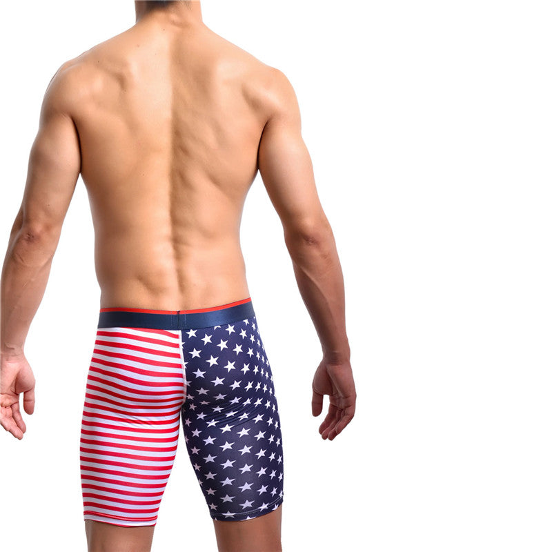 American flag print panties